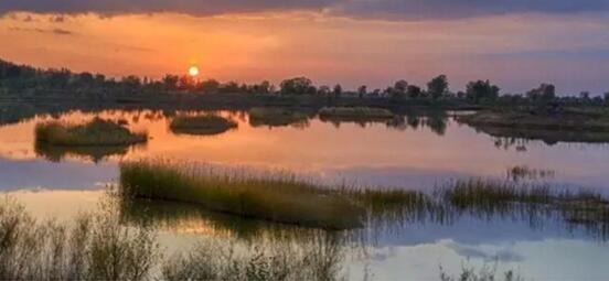 A13.jpg?v=1763520868647