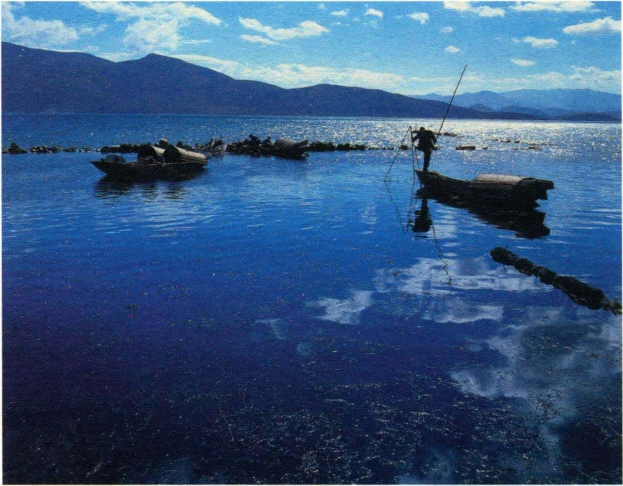 pagenumber_ebook=143,pagenumber_book=134