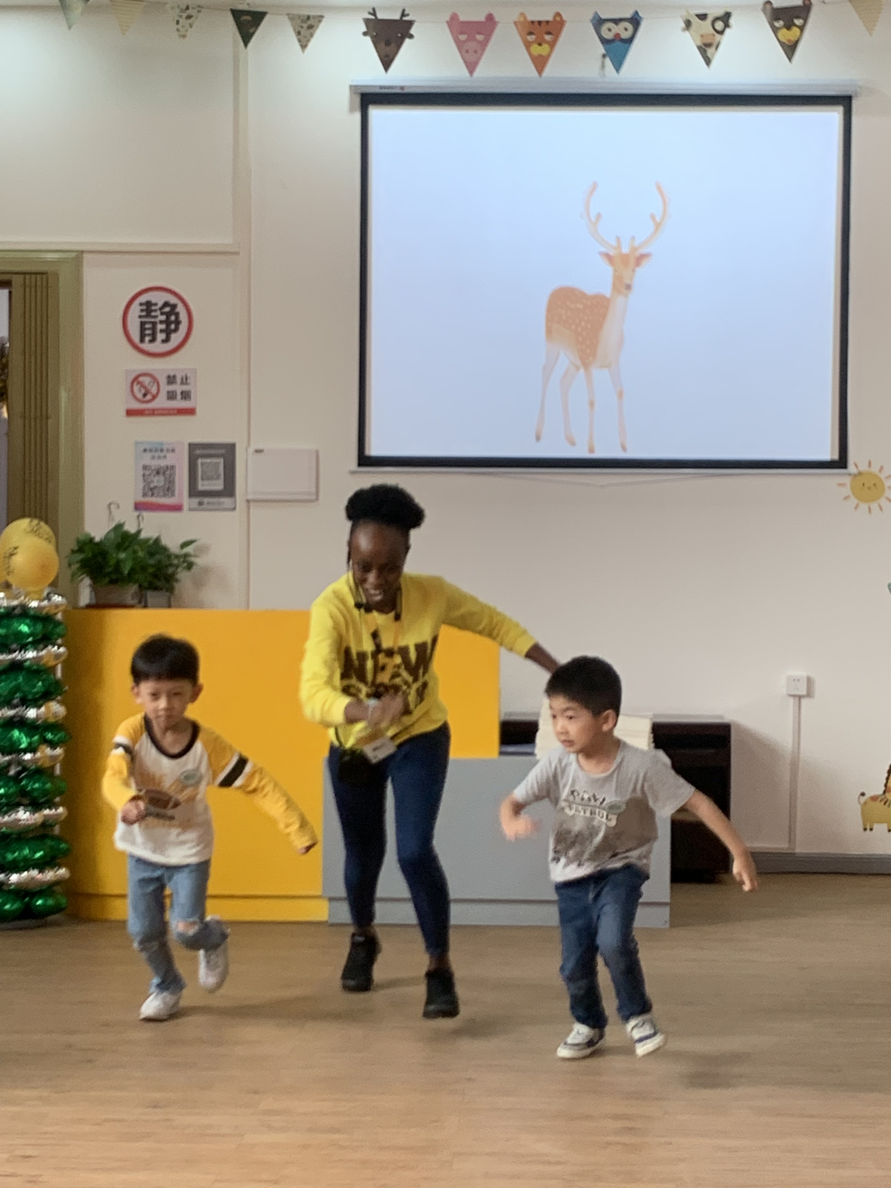 IMG_2459 IMG_2459.jpg?v=1762672867602