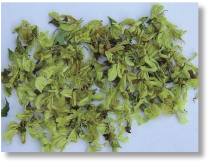 pagenumber_ebook=163,pagenumber_book=150