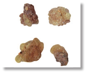 pagenumber_ebook=179,pagenumber_book=166