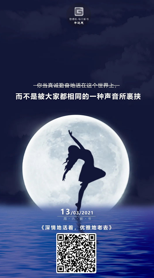 image image.png?v=1765886205386