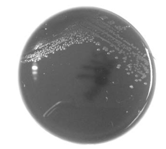 pagenumber_ebook=53,pagenumber_book=46