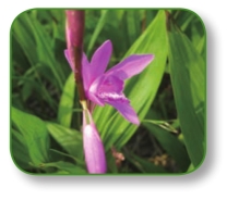 pagenumber_ebook=170,pagenumber_book=157