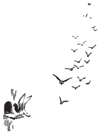 pagenumber_ebook=69,pagenumber_book=61