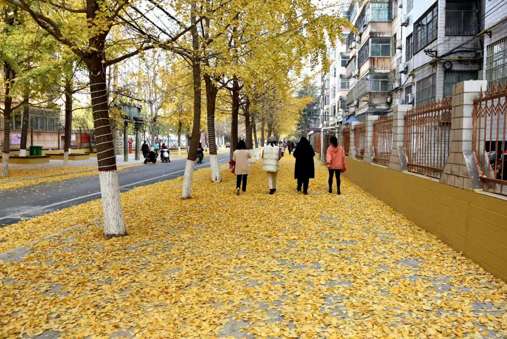 微信图片_202012142003341