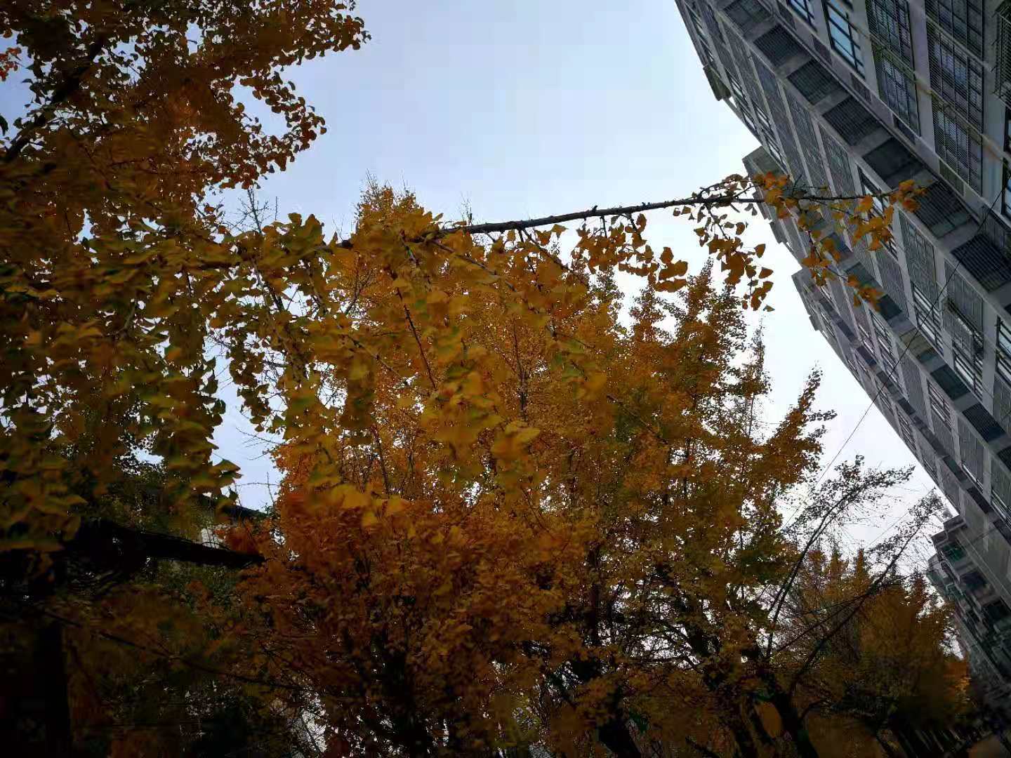 微信图片_20201214183242