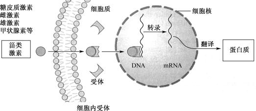 width=455,height=198,dpi=110