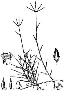 pagenumber_ebook=246,pagenumber_book=246