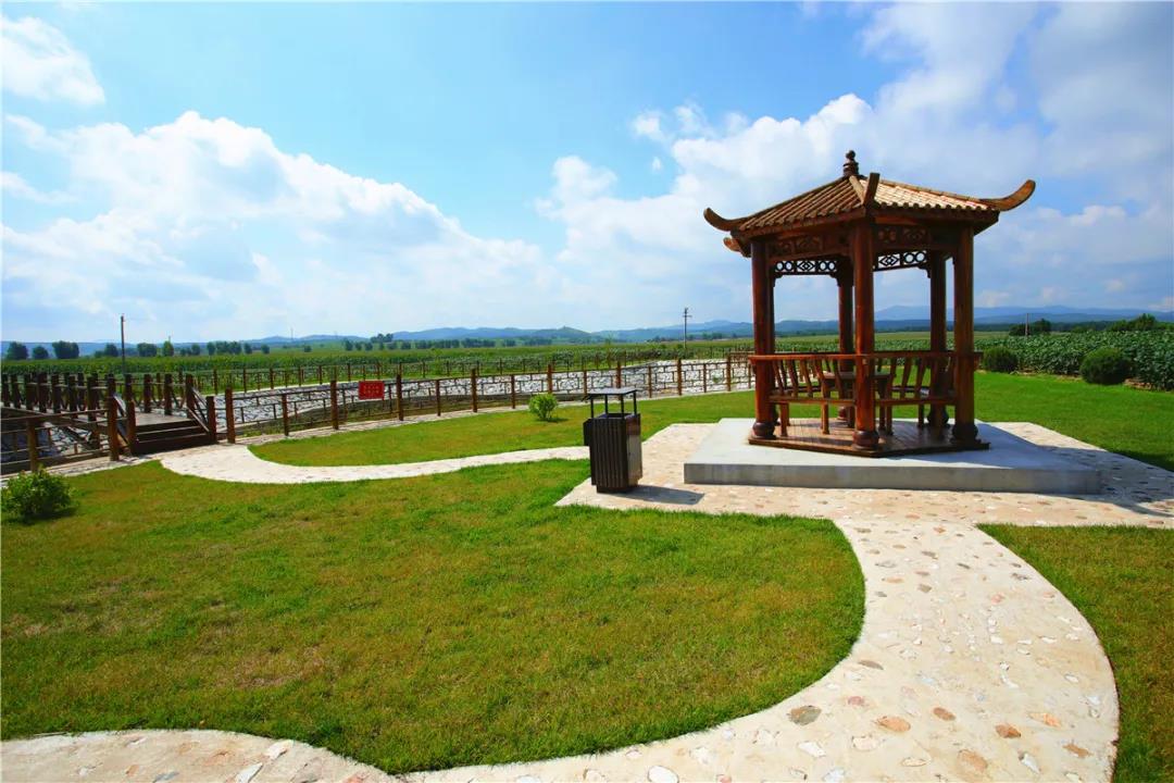 微信图片_20200819065736