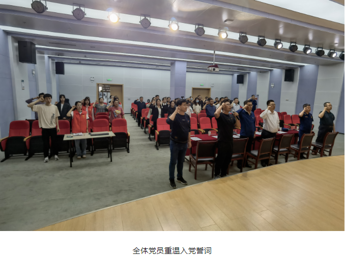 image image.png?v=1763579358158