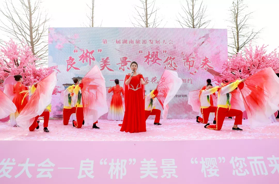 2月18日桂阳樱花园 (2)