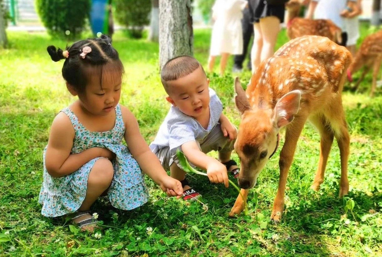 54fafc5f5a74230d8136550939388c8