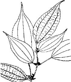 pagenumber_ebook=256,pagenumber_book=256