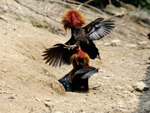 pagenumber_ebook=120,pagenumber_book=108