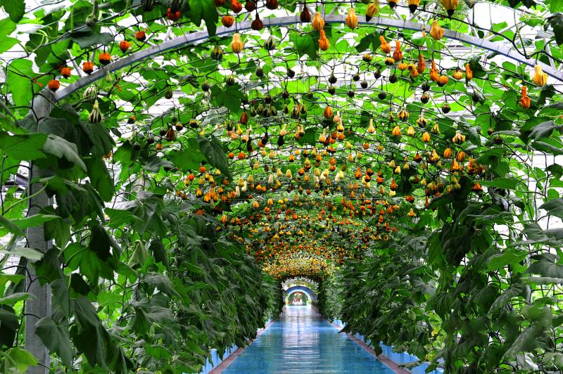 微信图片_20211110102440 微信图片_20211110102440.png