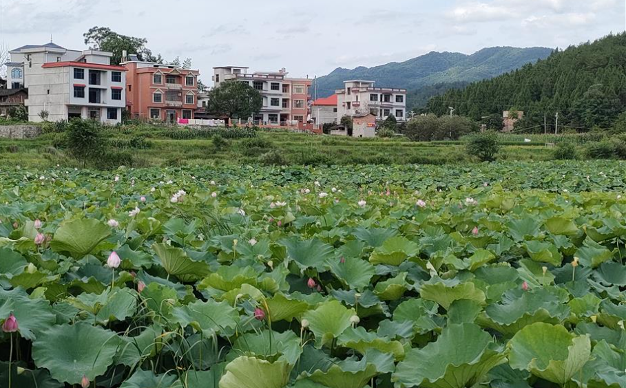 a7f159125867b8518aee2e59c448ae1