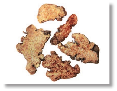 pagenumber_ebook=107,pagenumber_book=94