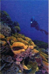 pagenumber_ebook=118,pagenumber_book=109