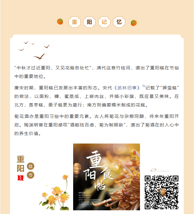 image.png?v=1762073571804