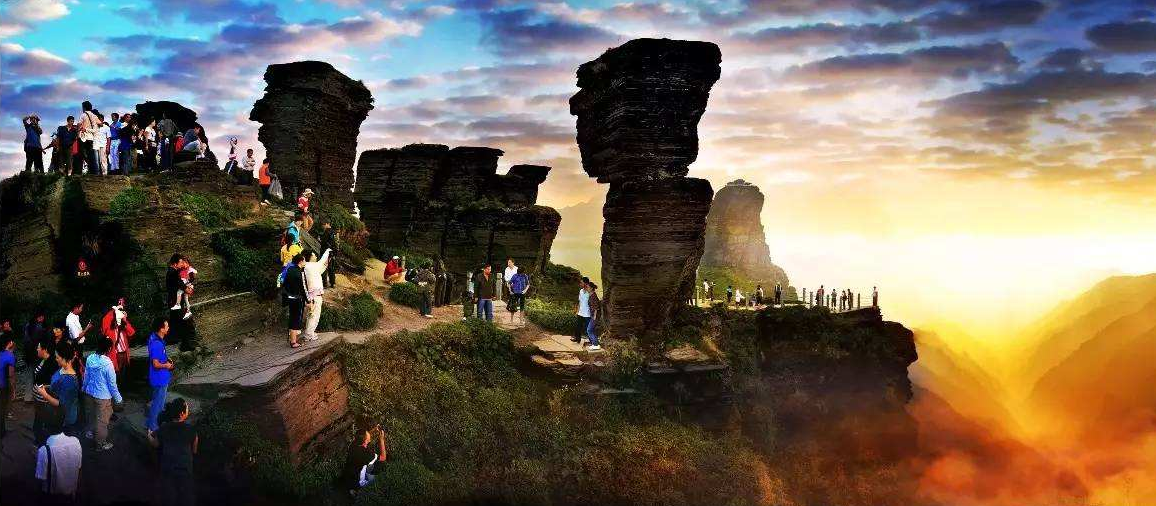 image image.png?v=1762364528642