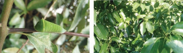 pagenumber_ebook=25,pagenumber_book=17