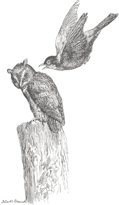 pagenumber_ebook=216,pagenumber_book=208