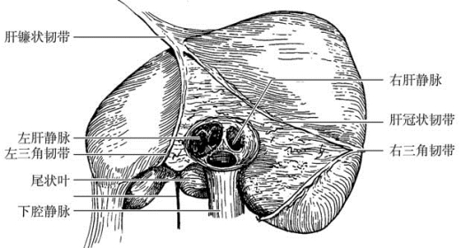 pagenumber_ebook=462,pagenumber_book=447