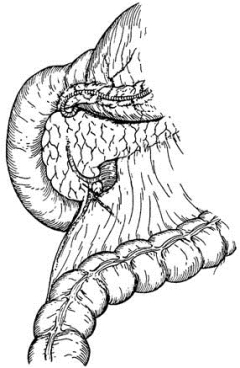 pagenumber_ebook=383,pagenumber_book=368