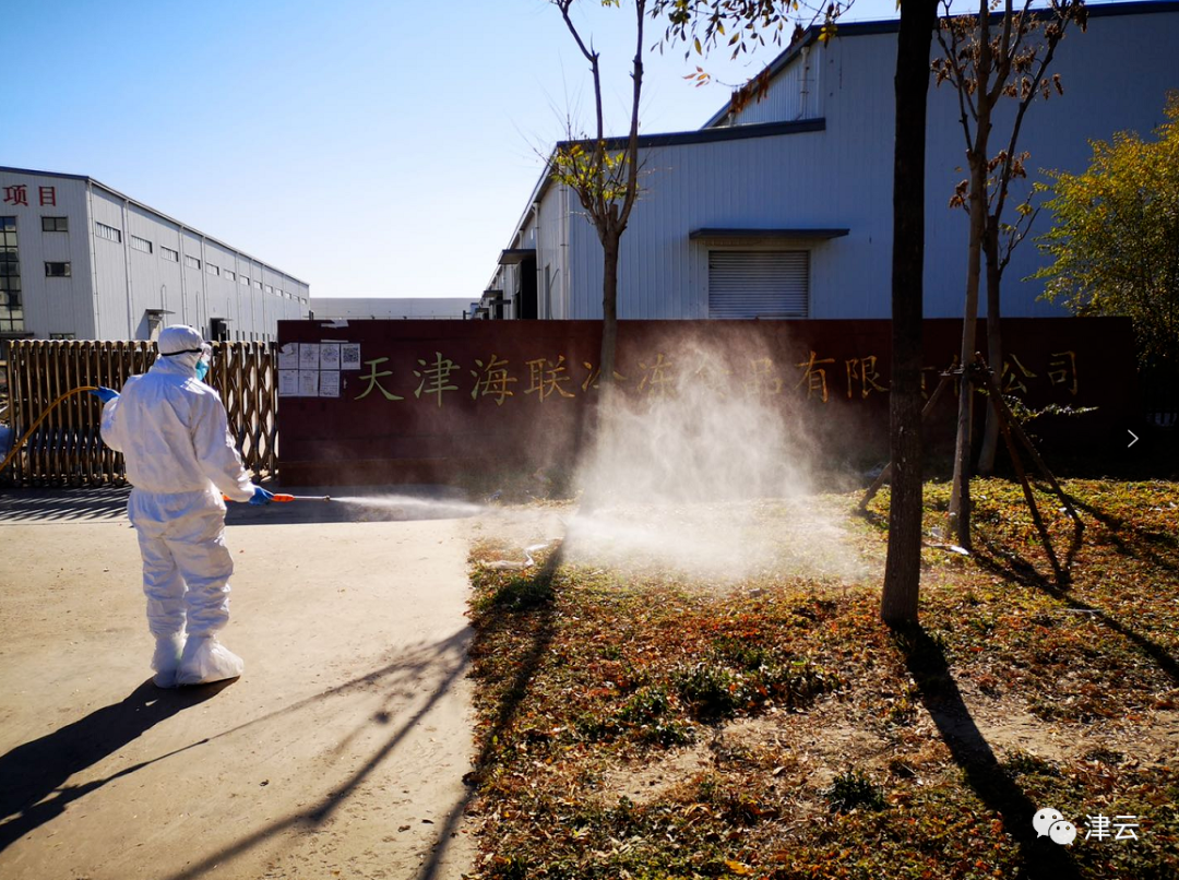 5 5.png?v=1765966697174