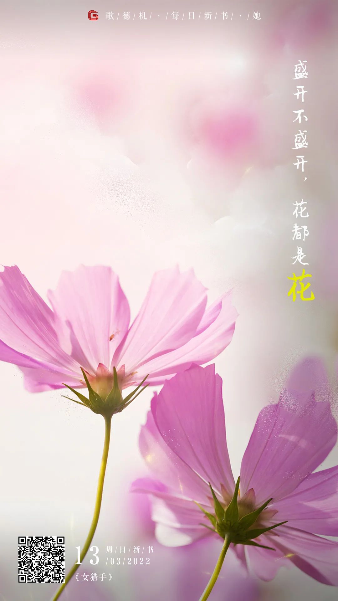 640 (1) 640 (1).jpg?v=1765682577989