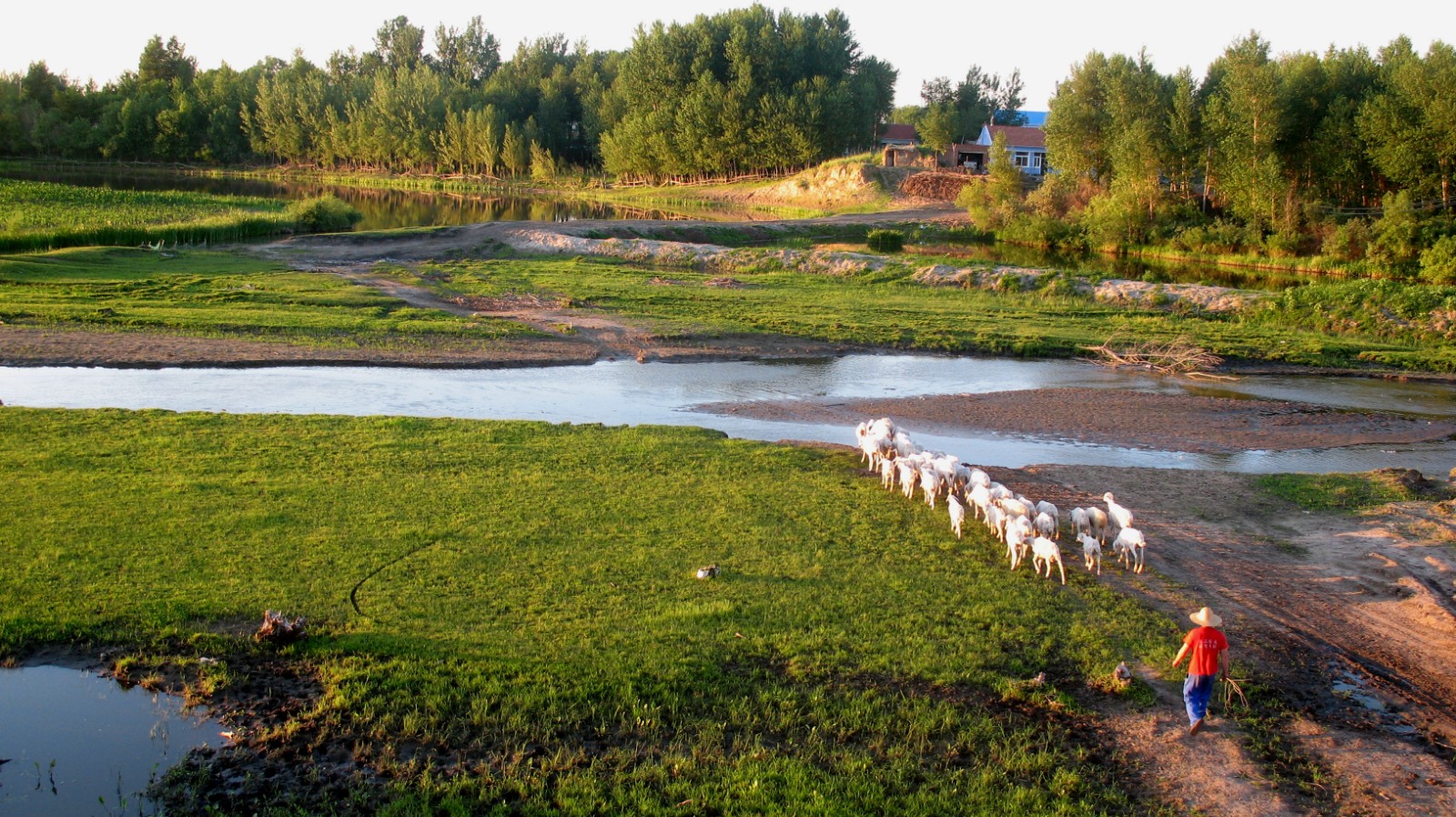 《马莲河》李葛