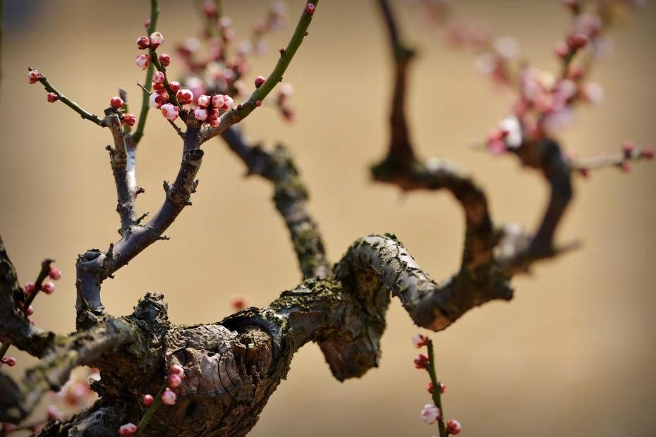 src=http___n1.itc.cn_img8_wb_sohulife_2016_02_25_145640239495305384.JPEG&refer=http___n1.itc src=http___n1.itc.cn_img8_wb_sohulife_2016_02_25_145640239495305384.JPEG&refer=http___n1.itc.jpg