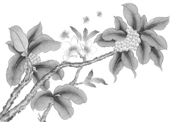 pagenumber_ebook=59,pagenumber_book=59