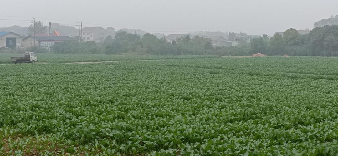 2 2.png?v=1770176788696