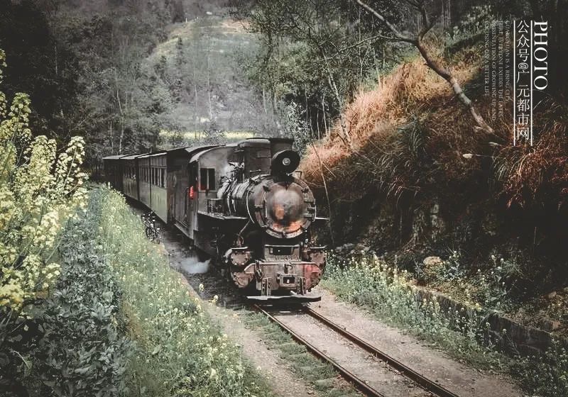 IMG_1426(20200417-105034) IMG_1426(20200417-105034).jpg?v=1765781105416