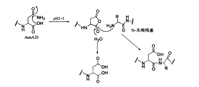 pagenumber_ebook=457,pagenumber_book=439