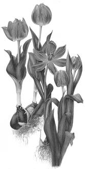 pagenumber_ebook=223,pagenumber_book=223