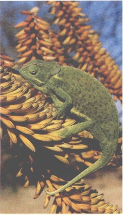 pagenumber_ebook=26,pagenumber_book=18