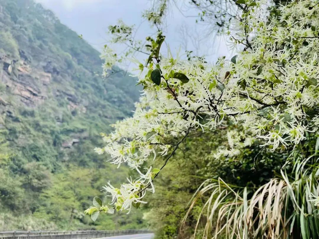 640 (10) 640 (10).jpg