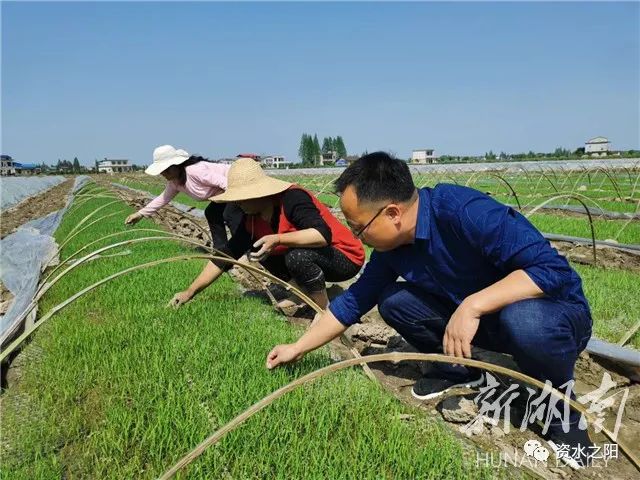 2 2.jpg?v=1765946639919