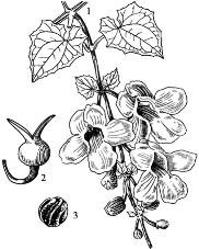 pagenumber_ebook=191,pagenumber_book=191