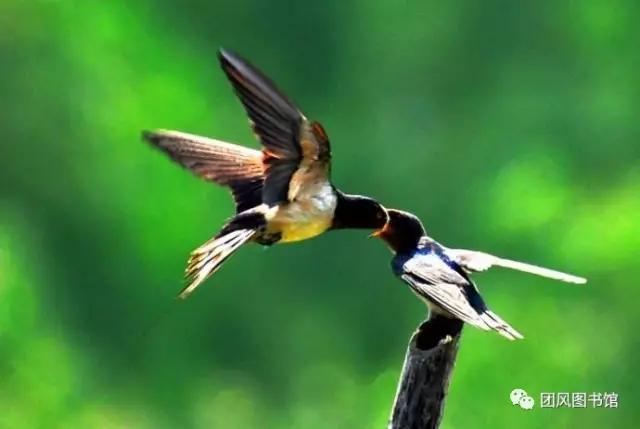 20170519165611_oeg3fd64l2 20170519165611_oeg3fd64l2.png?v=1769802995491