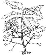 pagenumber_ebook=87,pagenumber_book=87