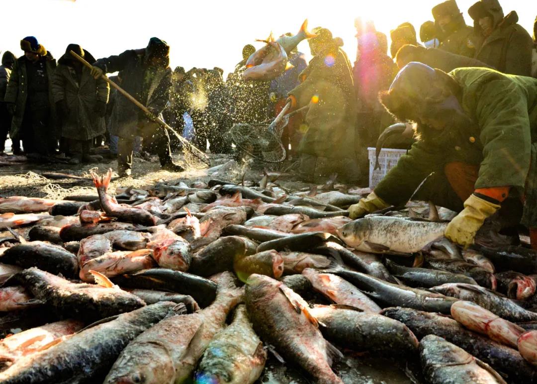 微信图片_20201225100240 微信图片_20201225100240.jpg