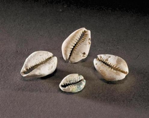 0710c568e9a66579fceba683f744bb09 0710c568e9a66579fceba683f744bb09.png