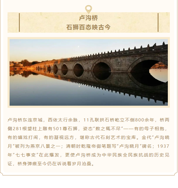 image.png?v=1751710192072