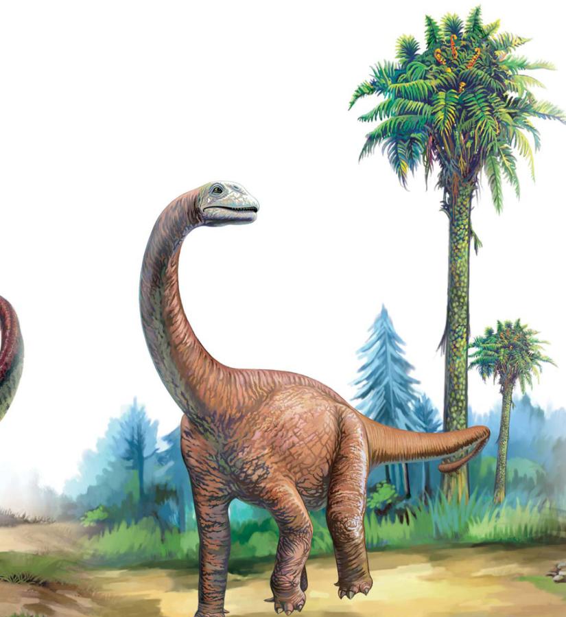 pagenumber_ebook=92,pagenumber_book=81