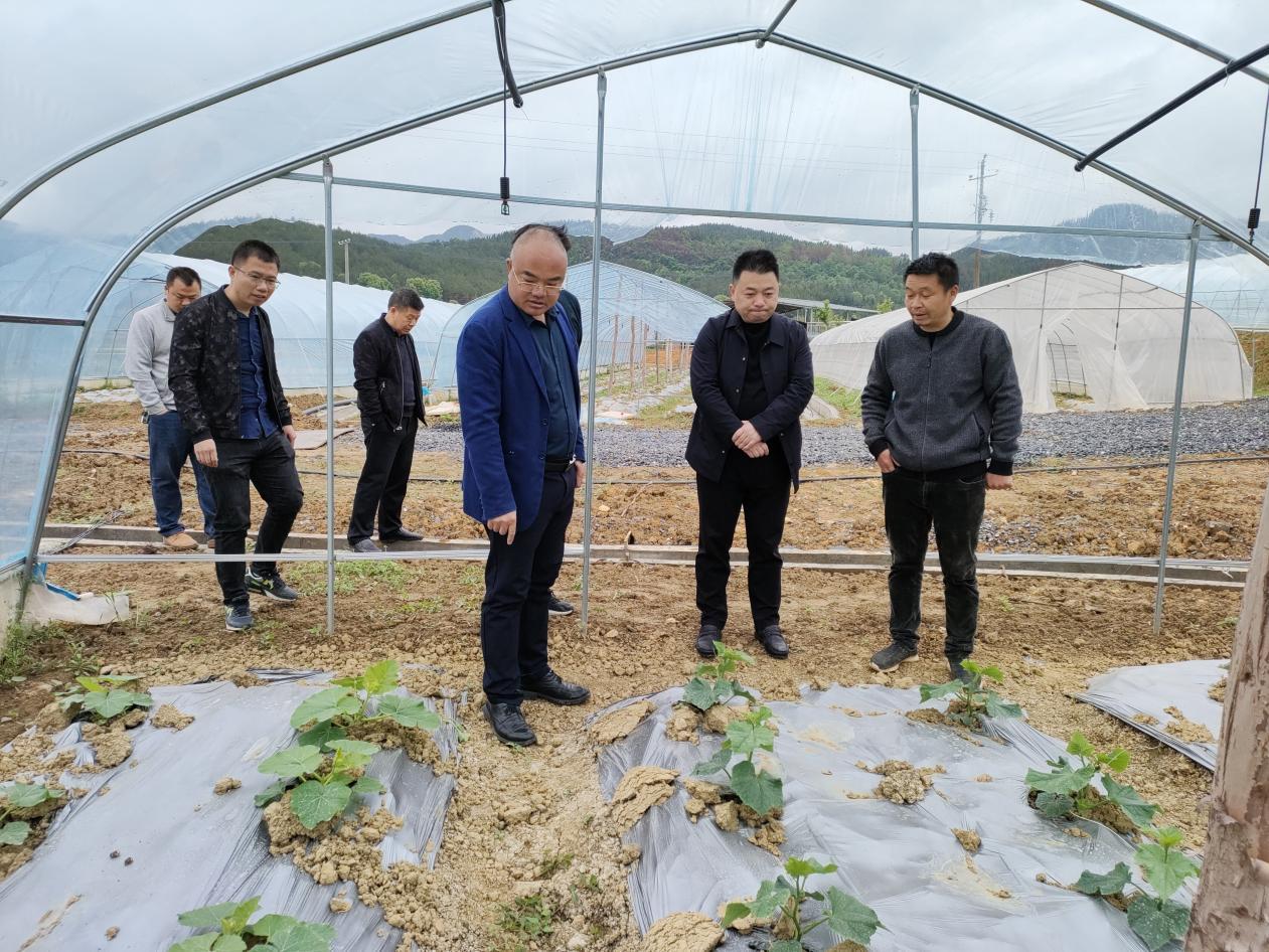 wps_doc_12 wps_doc_12.jpeg