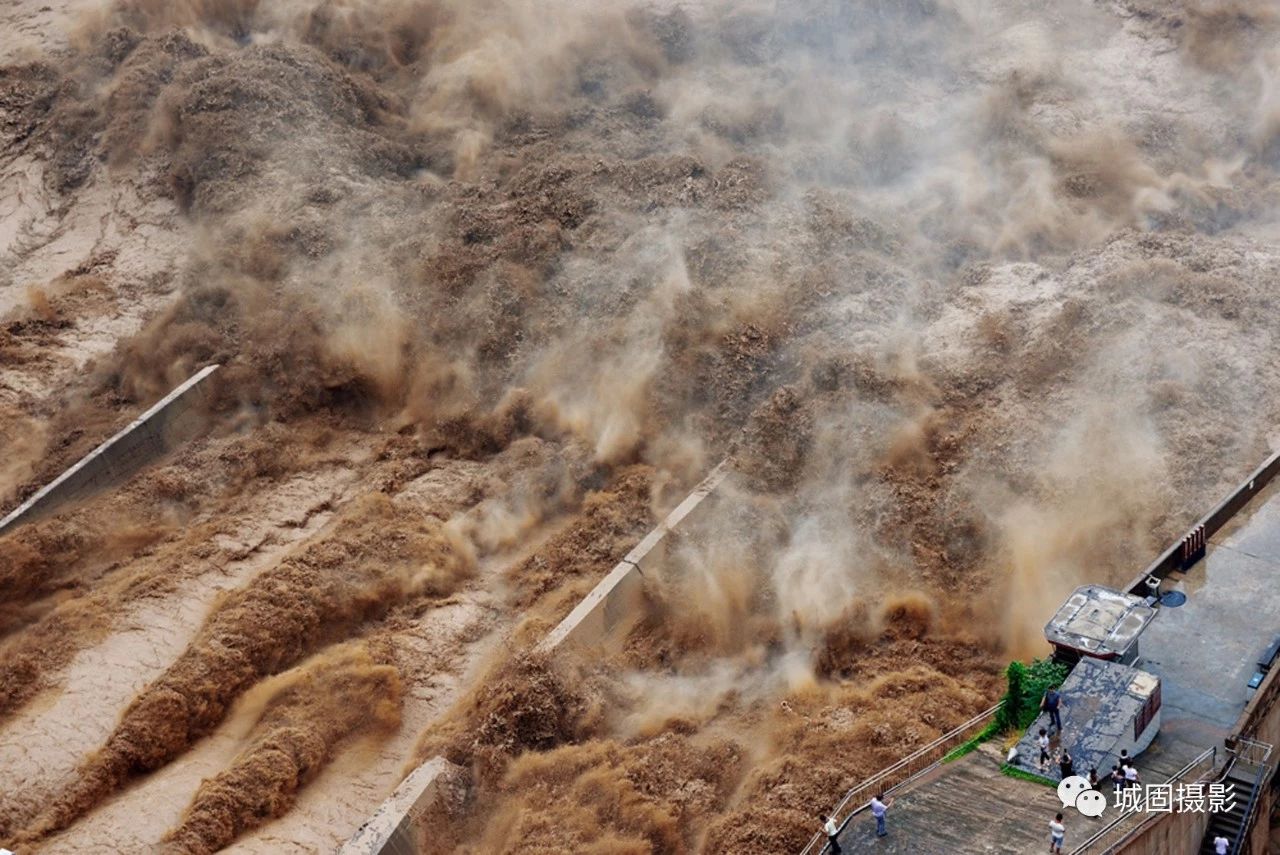 7 7.jpg?v=1765879784816